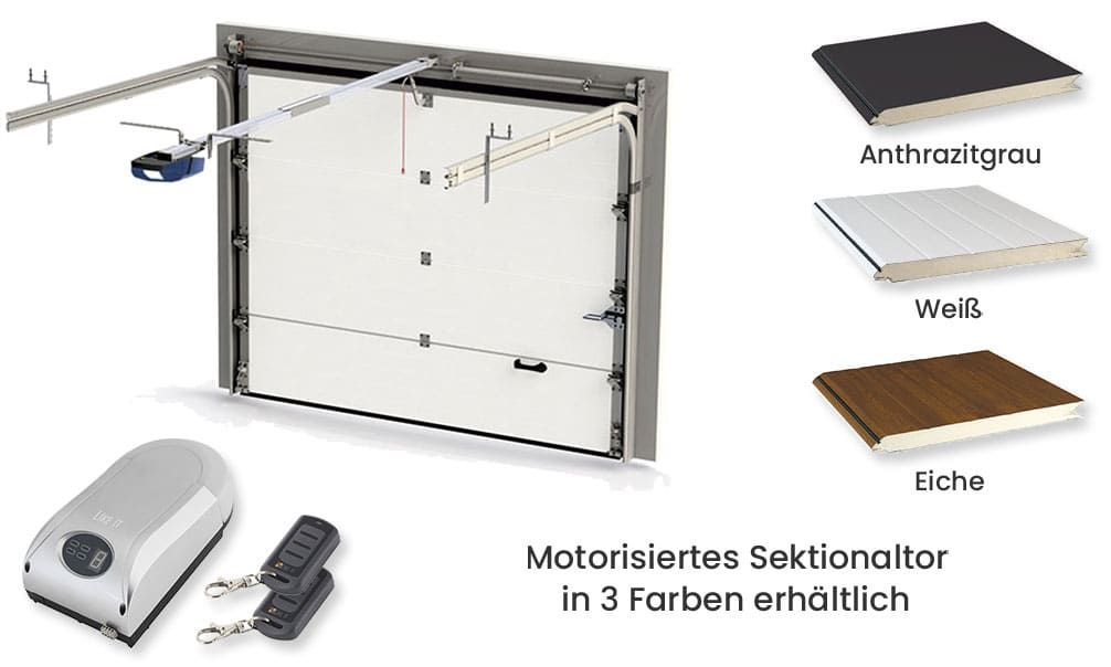 Holzgarage mit Carport Drôme | Motorisiertes Sektionaltor| Wandstärke 44mm | 645.4x510cm