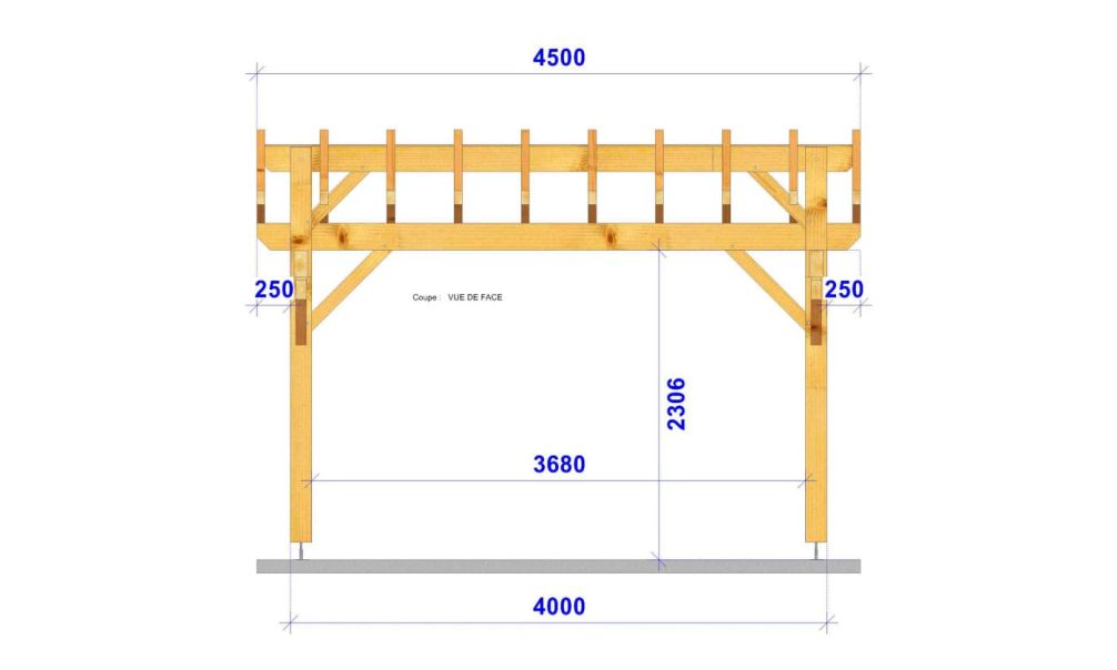Einzelcarport MIMOSA | Satteldach | aus Douglasienholz | 450x450cm