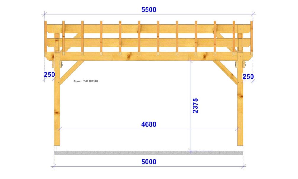 Doppelcarport COSMOS | Satteldach | aus Douglasienholz | 550x550cm