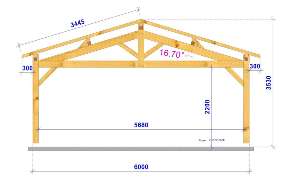 Doppelcarport STRELIZIA | Satteldach | aus Douglasienholz | 660x660cm