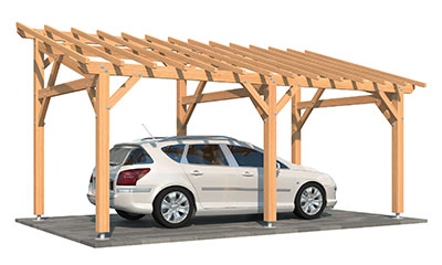 Carport Guzmania aus Douglasienholz